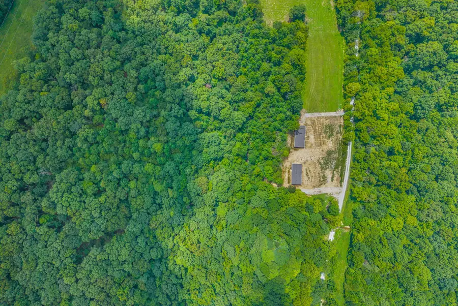 367 John Ross Hollow Road, Erin, TN 37061 - #3
