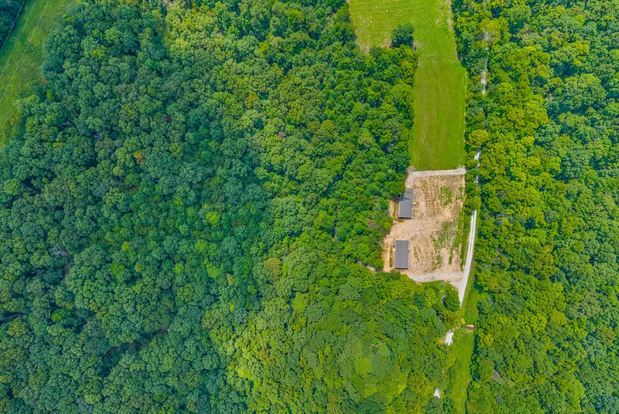 419 John Ross Hollow Road, Erin, TN 37061 - #3