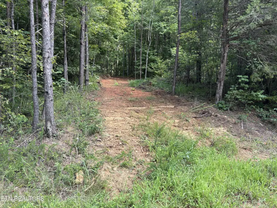 130 Tellico Camp Road, Madisonville, TN 37354 - #2