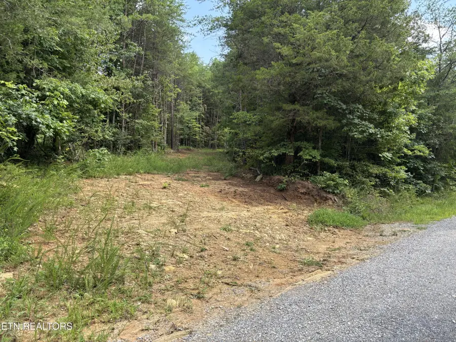 130 Tellico Camp Road, Madisonville, TN 37354 - #3
