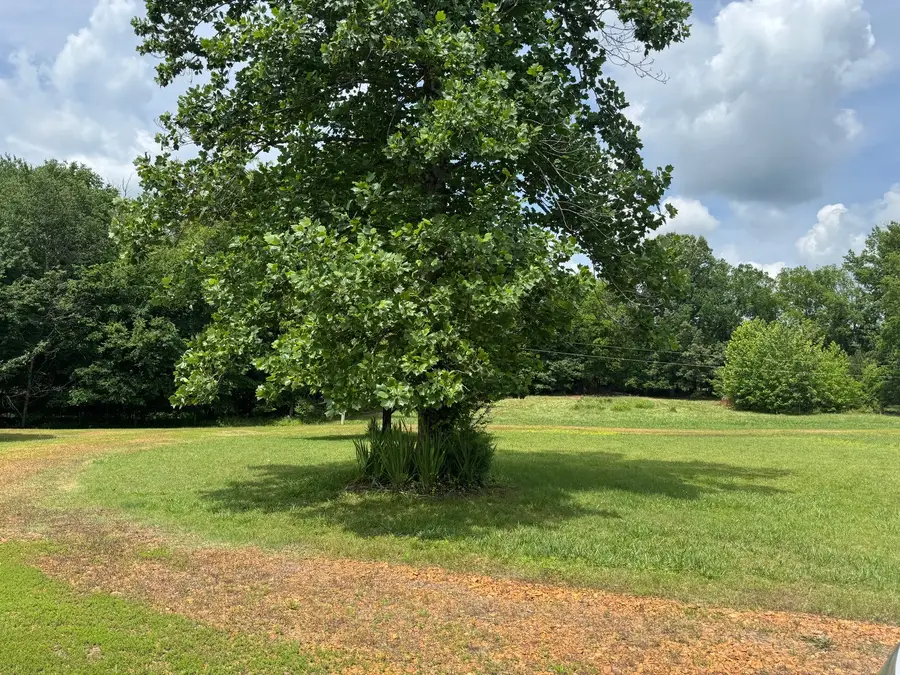 3650 Blood River Church Rd, Buchanan, TN 38222 - #3