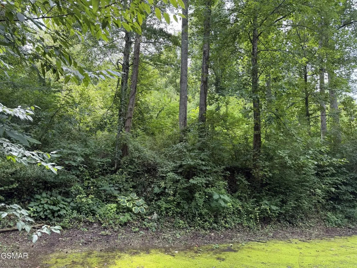 315 Hilltop Road, Gatlinburg, TN 37738 - #1