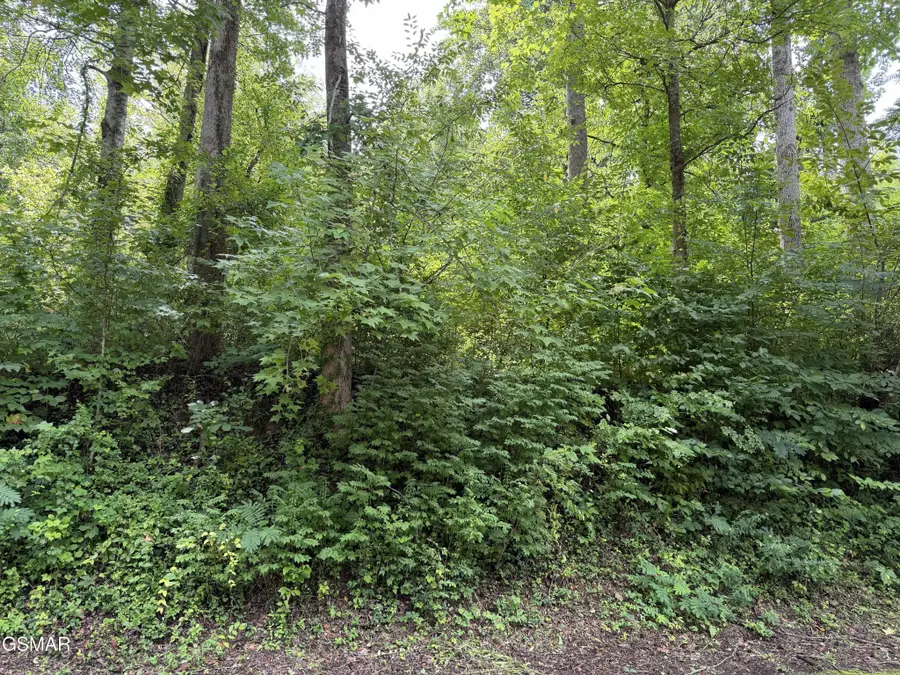315 Hilltop Road, Gatlinburg, TN 37738 - #3