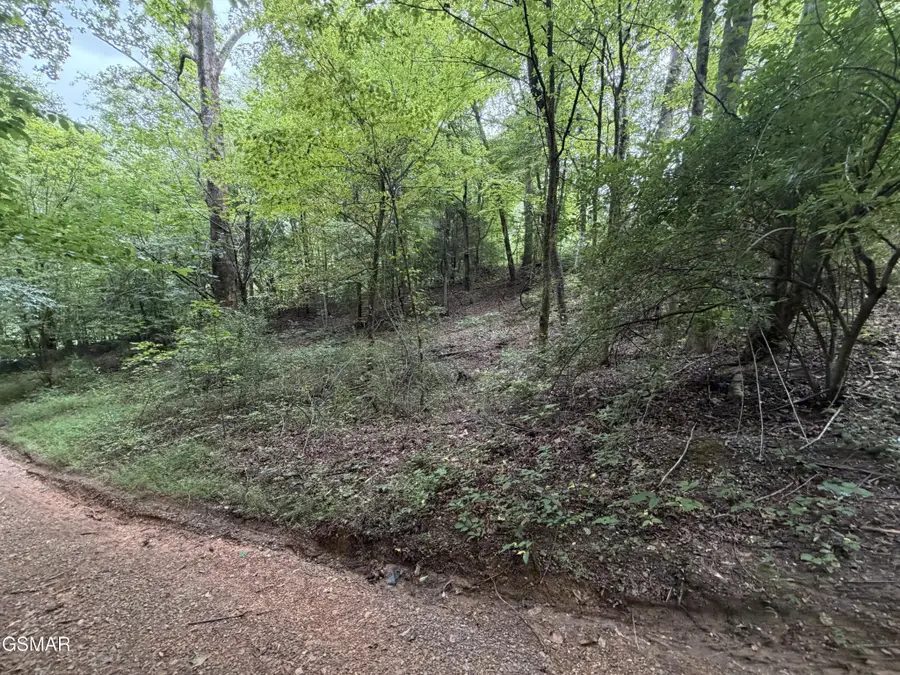 15 Forge Hideaway Road, Pigeon Forge, TN 37863 - #2