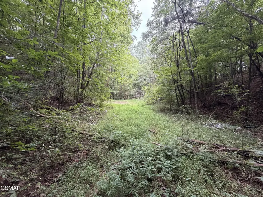 15 Forge Hideaway Road, Pigeon Forge, TN 37863 - #3