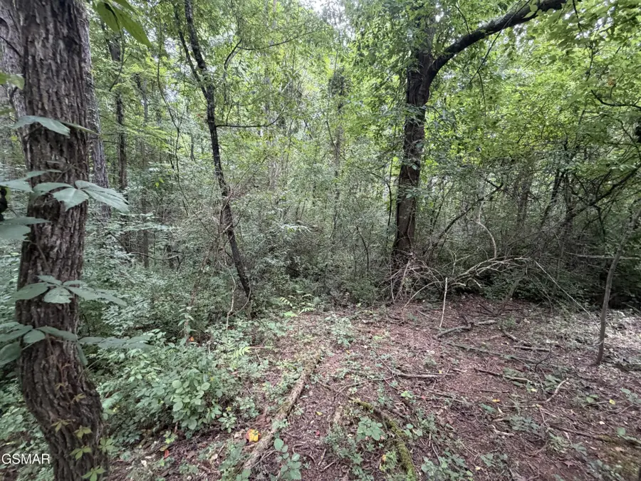 15 Sunrise Boulevard, Kodak, TN 37764 - #2