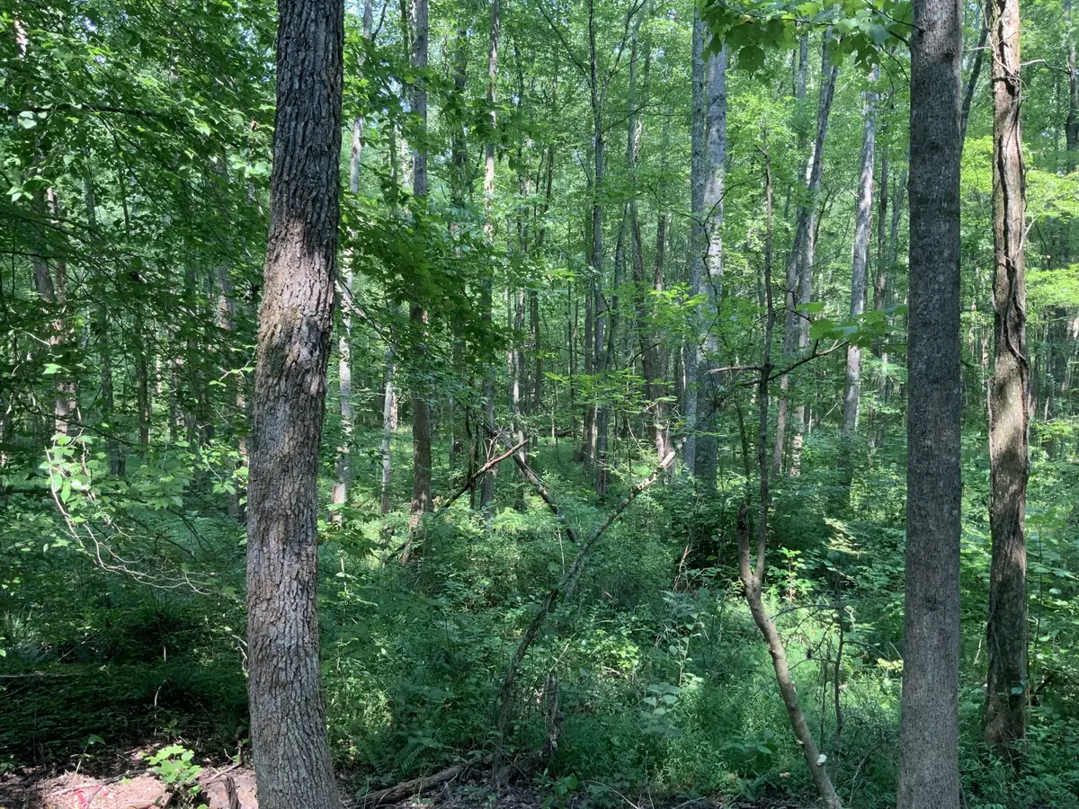 0 Copper Springs Road, Springville, TN 38256 - #1