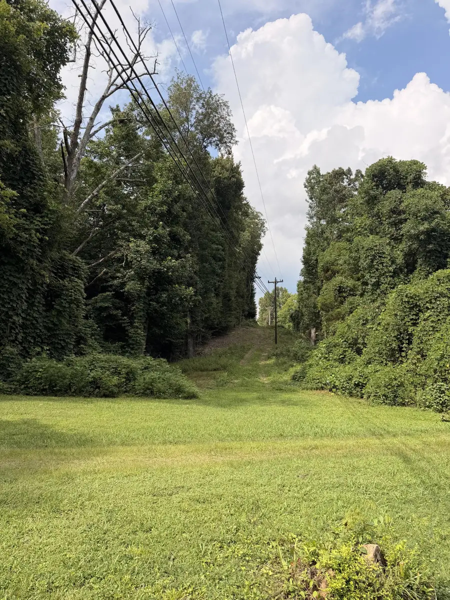 1264 Blanton Chapel Rd, Manchester, TN 37355 - #3