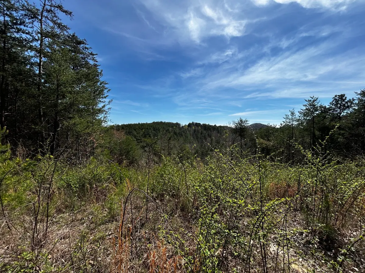 0 Owl Hollow Rd Sw, Mc Donald, TN 37353 - #1