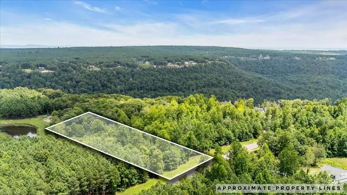 3685 Crockett Point, Jasper, TN 37347 - #1