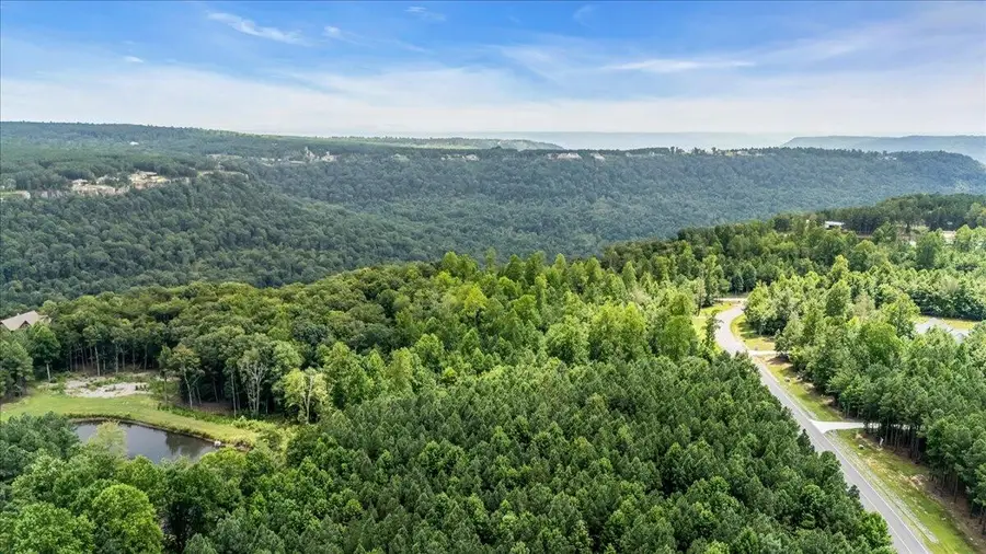 3685 Crockett Point, Jasper, TN 37347 - #2