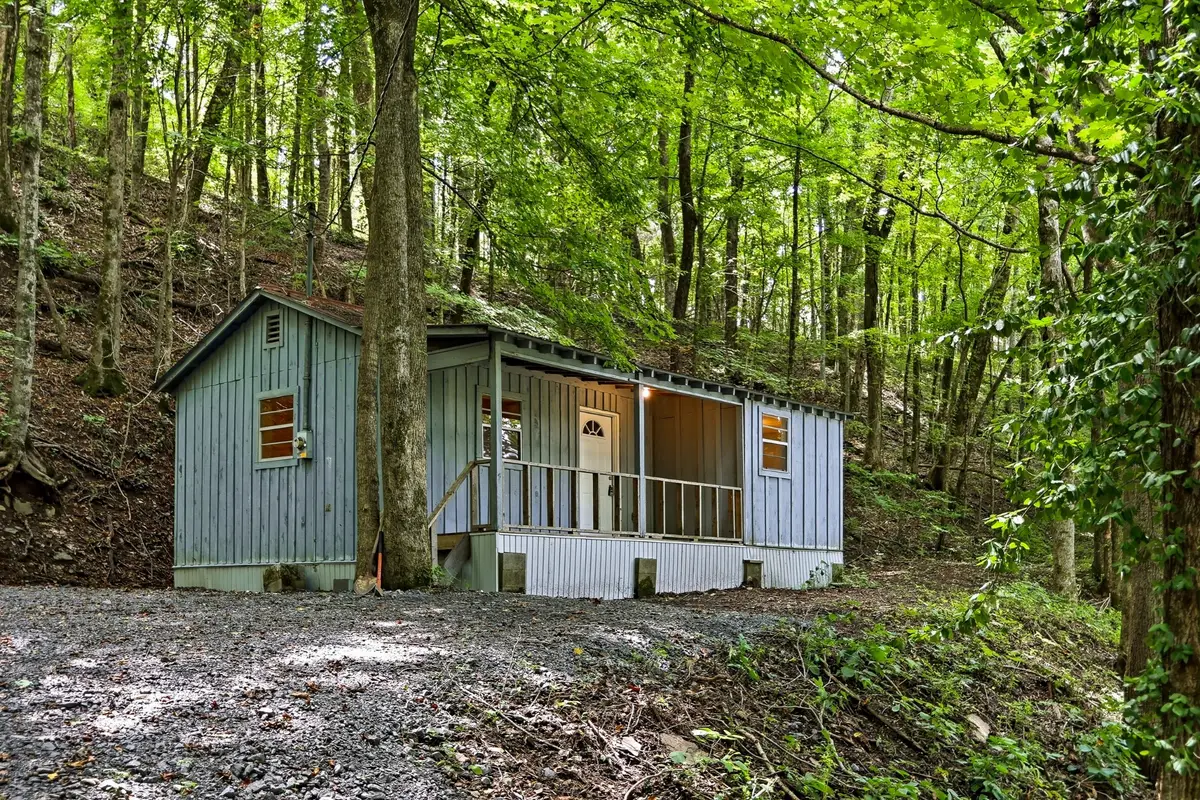225 Coys Cove Ln, Gainesboro, TN 38562 - #1