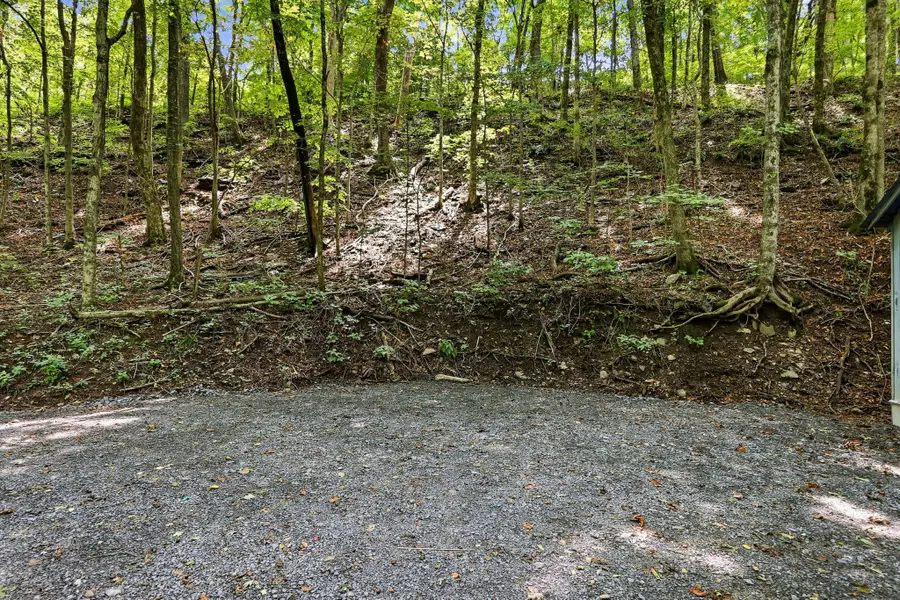 225 Coys Cove Ln, Gainesboro, TN 38562 - #3