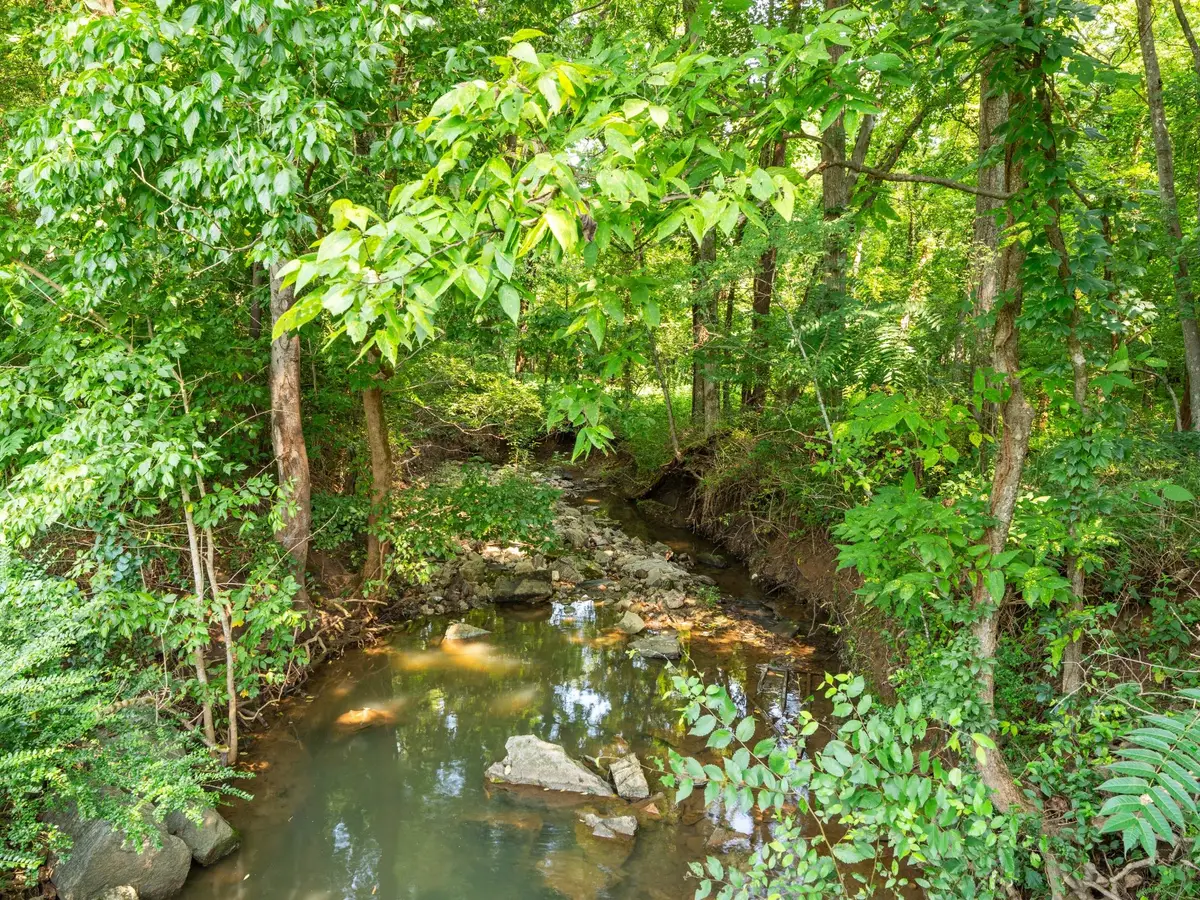 4 Reece Church Rd, Columbia, TN 38401 - #1