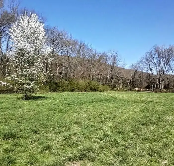 0 Hills Creek Rd, McMinnville, TN 37110 - #2
