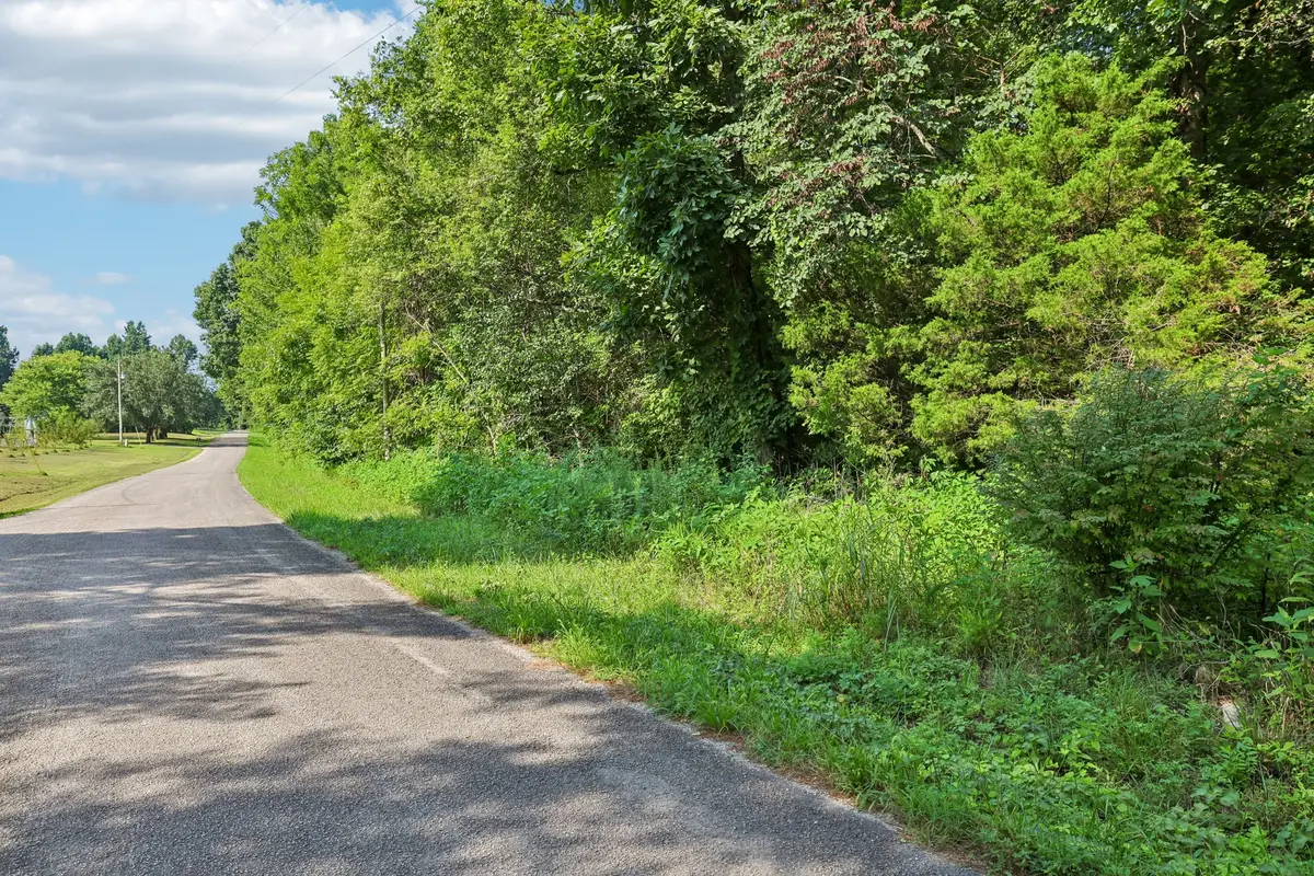 230 Moreland Rd, Manchester, TN 37355 - #1