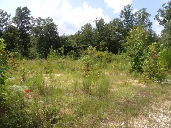 0 Old Union Church Road, Holladay, TN 38341