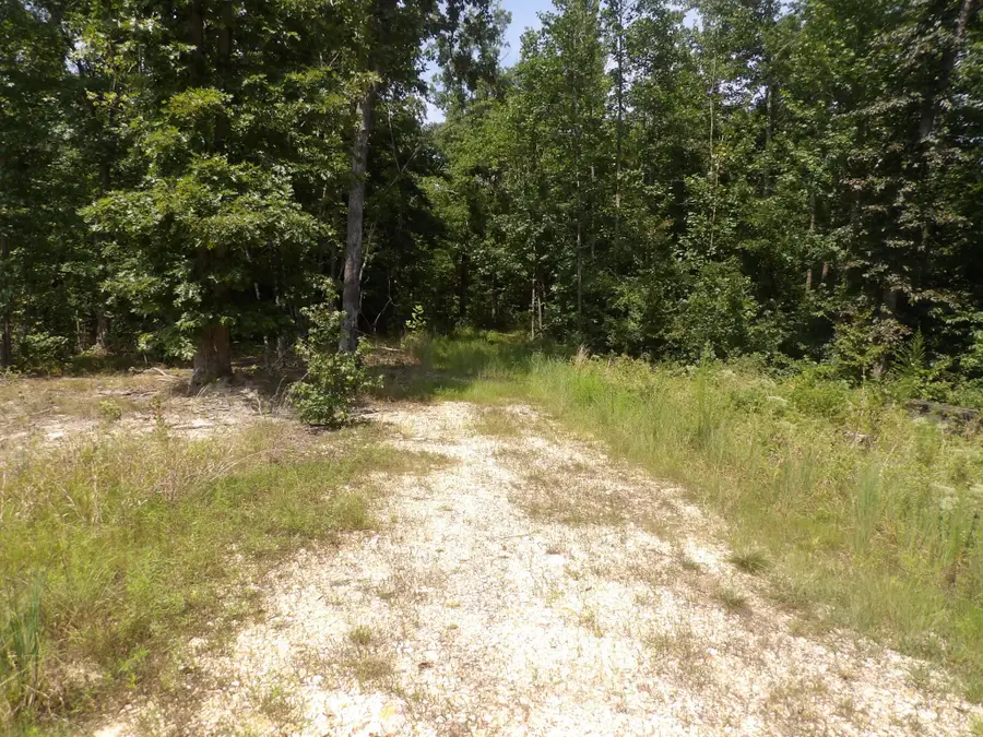 0 Old Union Church Road, Holladay, TN 38341 - #2