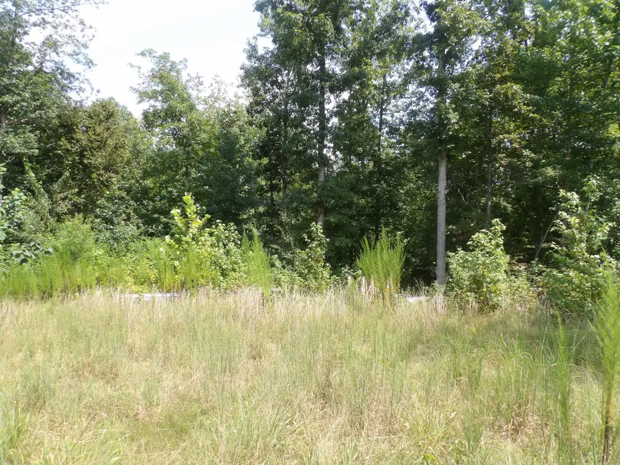 0 Old Union Church Road, Holladay, TN 38341 - #3