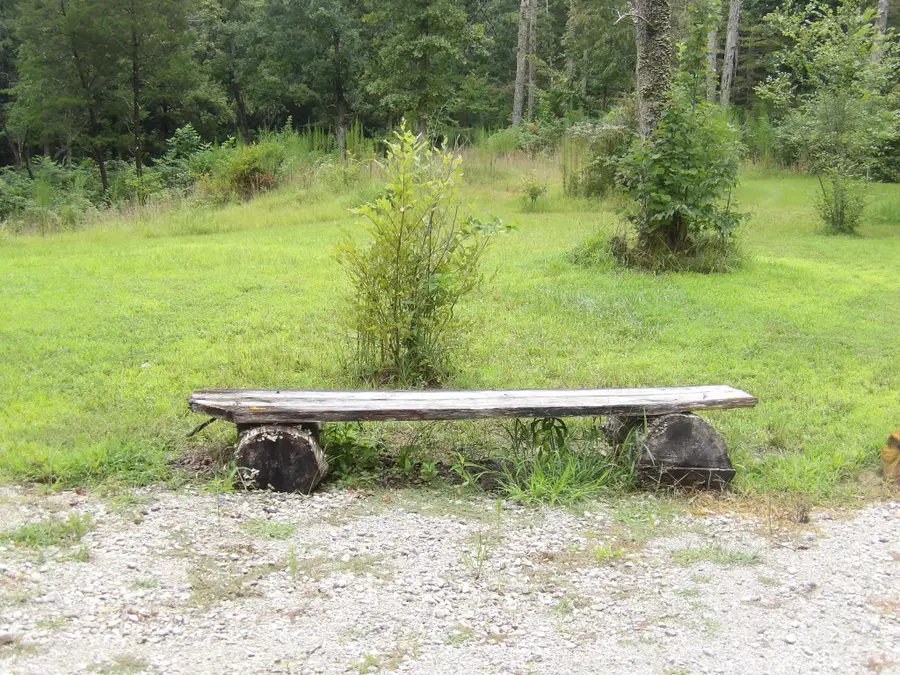 285 Tooley Trail Lane, Mc Ewen, TN 37101 - #3