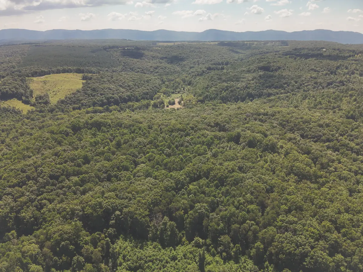 0 Grapevine Road, Crossville, TN 38572 - #1