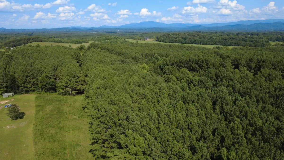 0 Spring Place Road Se, Cleveland, TN 37323 - #1
