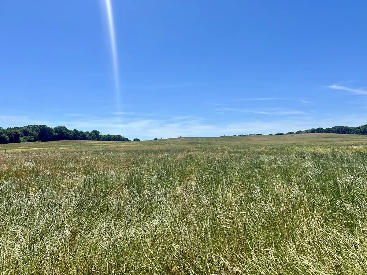 0 County Road 106, Florence, AL 35633 - #1