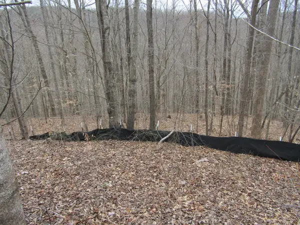0 Bobcat Lane, Wilder, TN 38589