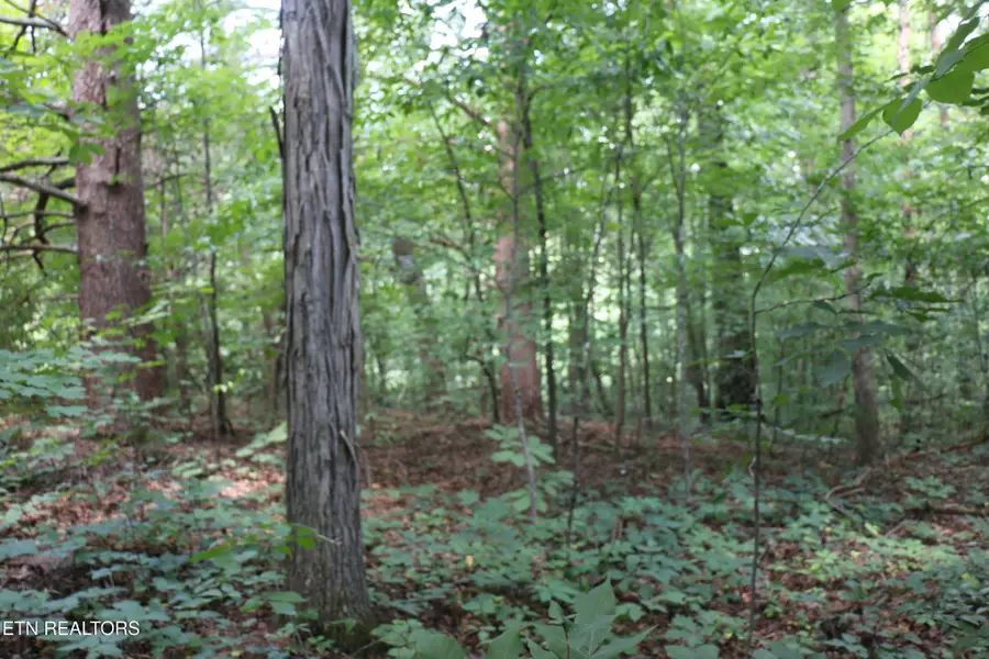 1 County Road 892, Etowah, TN 37331 - #3