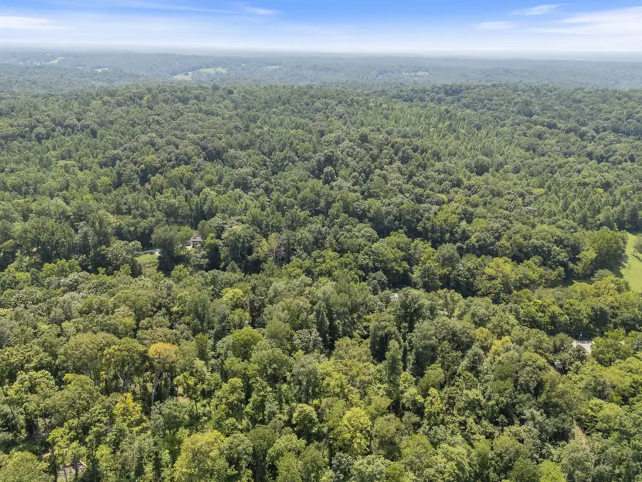 0 Slayden Wood Rd, Vanleer, TN 37181 - #3