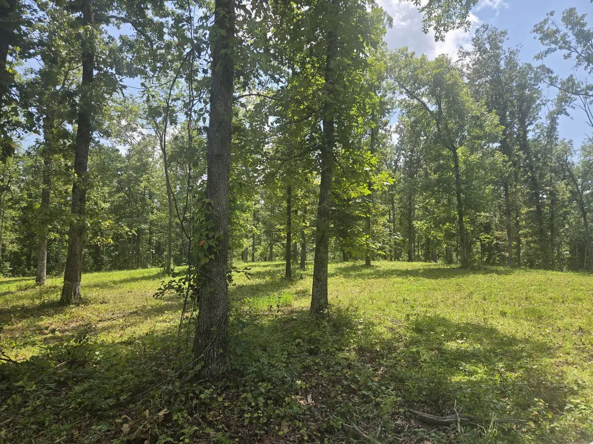 655 Dyer Rd, Hurricane Mills, TN 37078 - #1