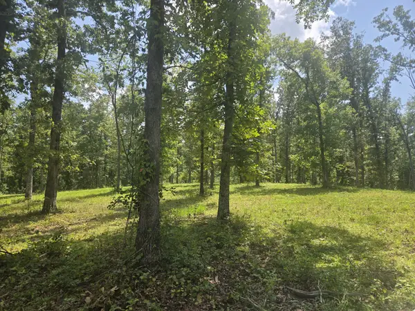 655 Dyer Rd, Hurricane Mills, TN 37078