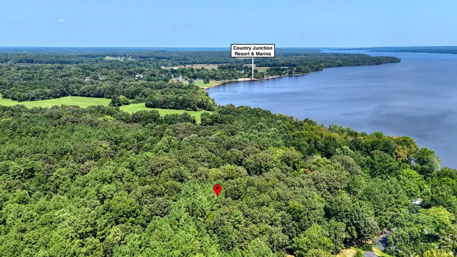 215 Mizpah St, Springville, TN 38256 - #2