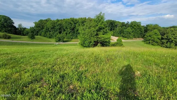 41 Shiloh Springs Road, Rutledge, TN 37861