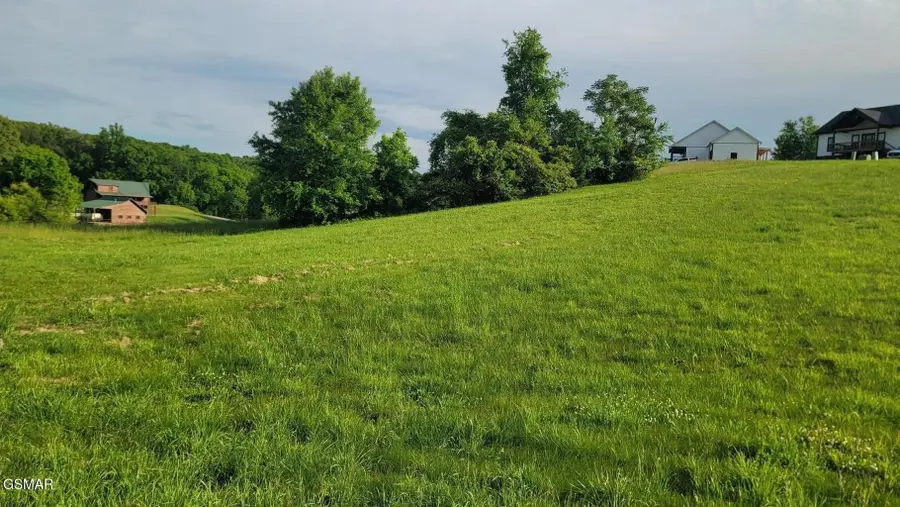 41 Shiloh Springs Road, Rutledge, TN 37861 - #2