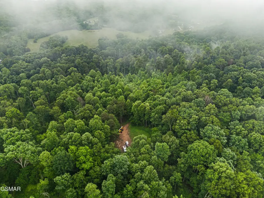 16 Mill Springs Road, New Market, TN 37820 - #3