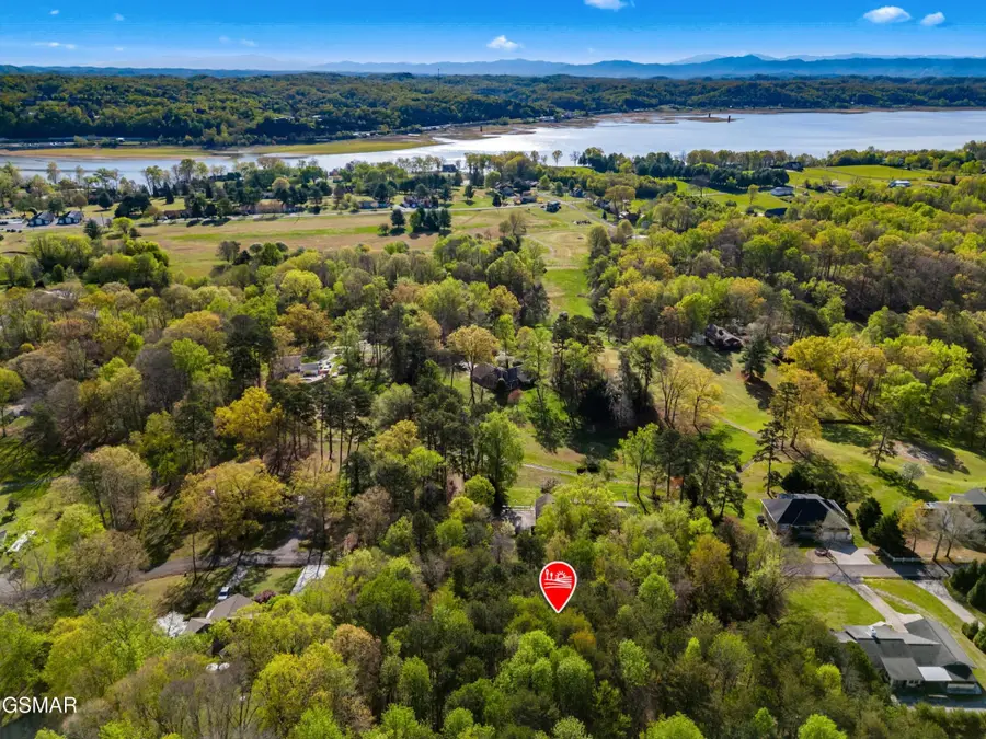 13 Back Nine Drive, Baneberry, TN 37890 - #2