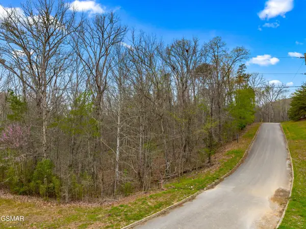 107 Turtle Dove Trail, Dandridge, TN 37725