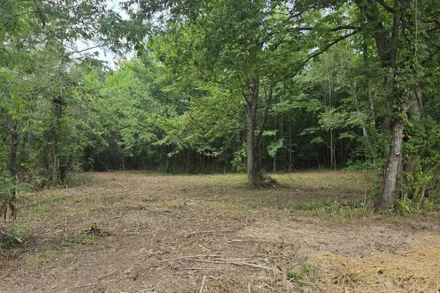 0 Dukes Park Rd, Summertown, TN 38483 - #3
