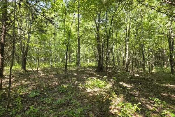 0 N Old Military Rd, Summertown, TN 38483