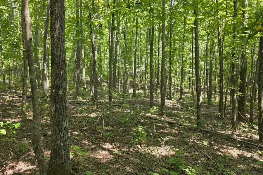 0 N Old Military Rd, Summertown, TN 38483 - #2