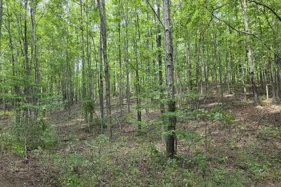 0 N Old Military Rd, Summertown, TN 38483 - #3