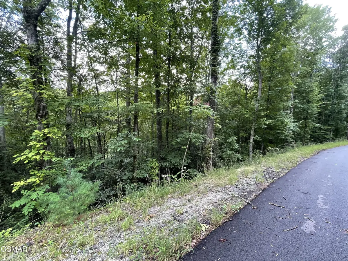 5 Stepping Stone Drive, Sevierville, TN 37862 - #1