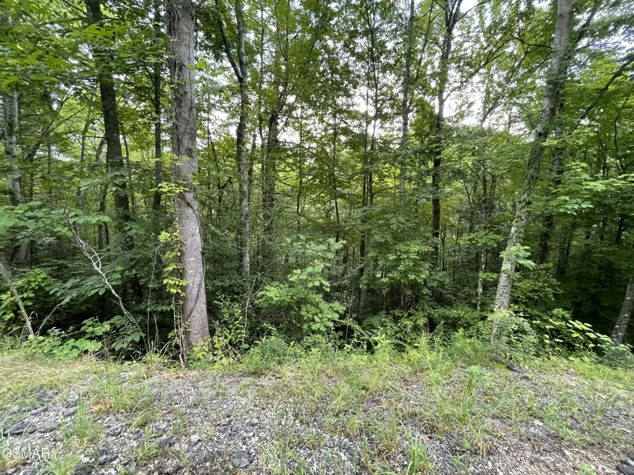 5 Stepping Stone Drive, Sevierville, TN 37862 - #2