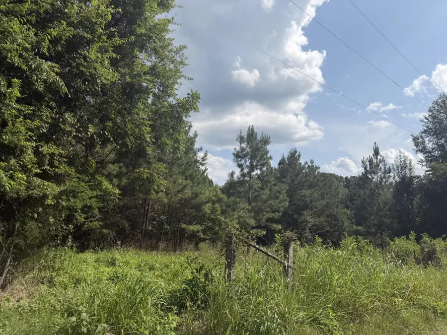 958 County Road 4, Calhoun, TN 37309 - #3