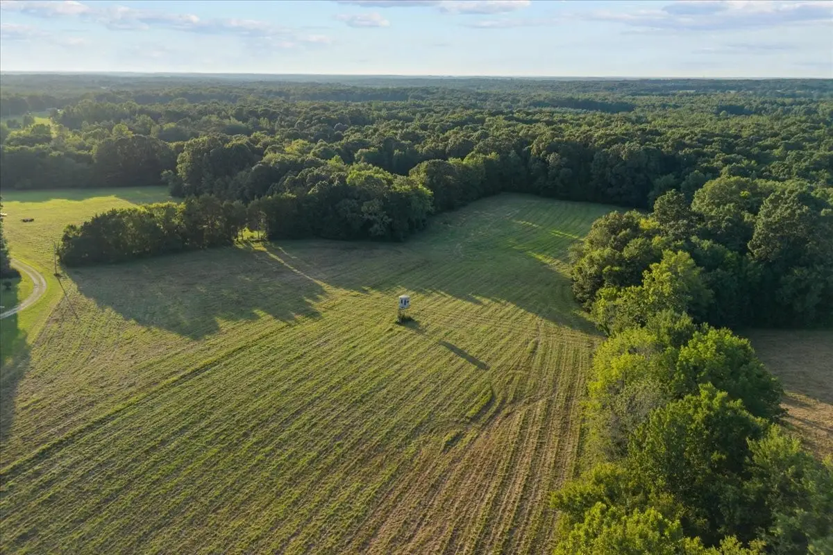 0 Cedar Grove Rd, Big Sandy, TN 38221 - #1