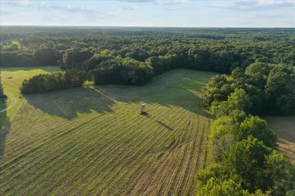 0 Cedar Grove Rd, Big Sandy, TN 38221