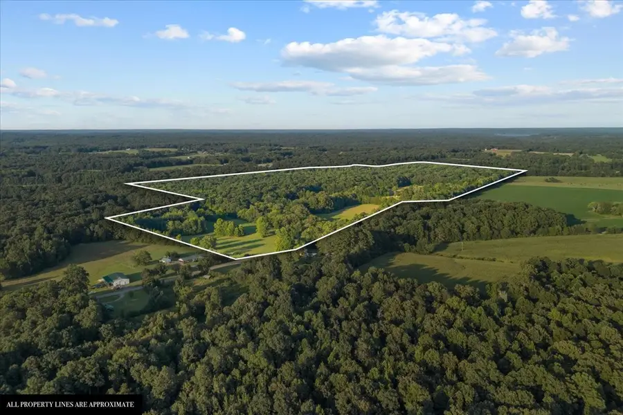 0 Cedar Grove Rd, Big Sandy, TN 38221 - #3