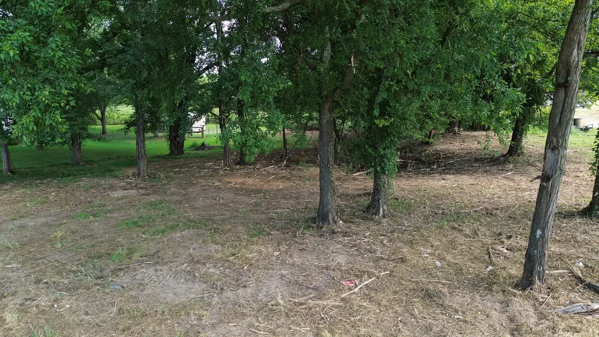 244 Howell Hill Rd, Fayetteville, TN 37334 - #1