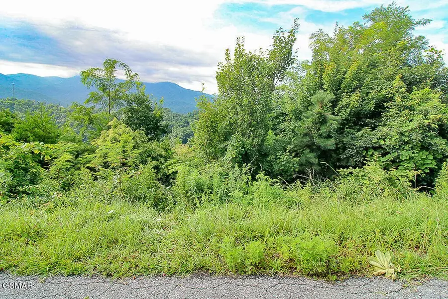 254 Village Loop Road, Gatlinburg, TN 37738 - #2